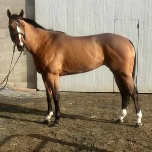 Meet your Posher, Jack